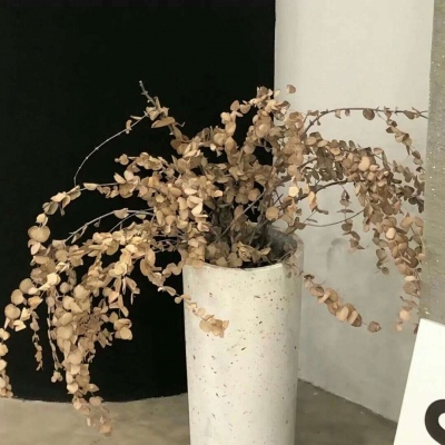 Furry插画构图灵感福瑞交流群